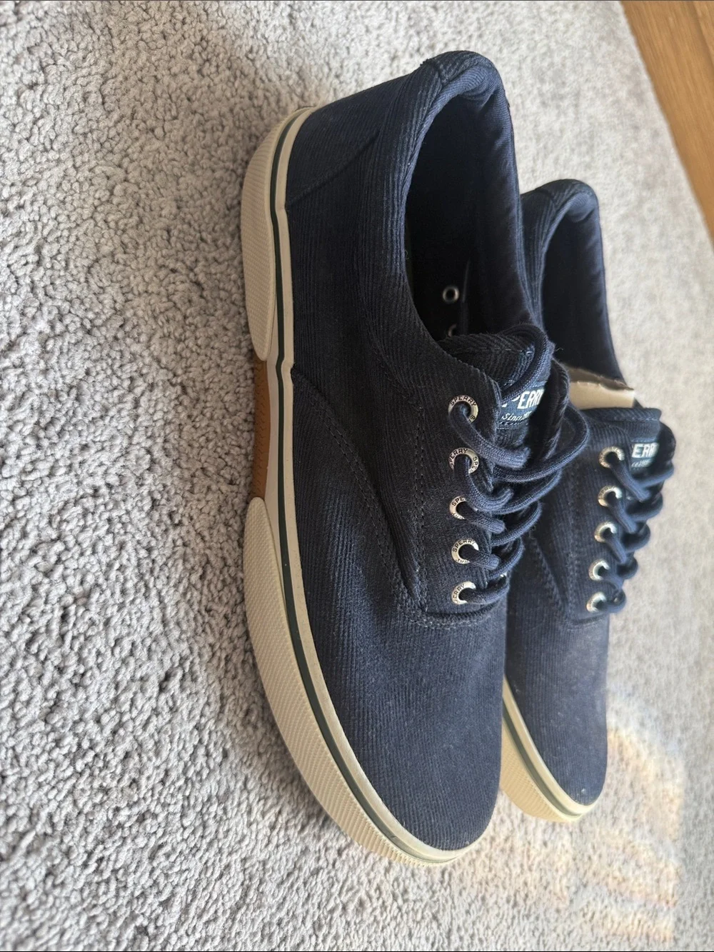 Sperry Men's Dark Navy Canvas Boat Shoes